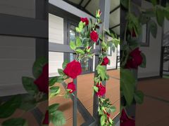 20ft Canopy vouwhuis